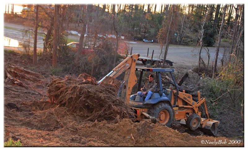 Diggin Up Stumps March 3