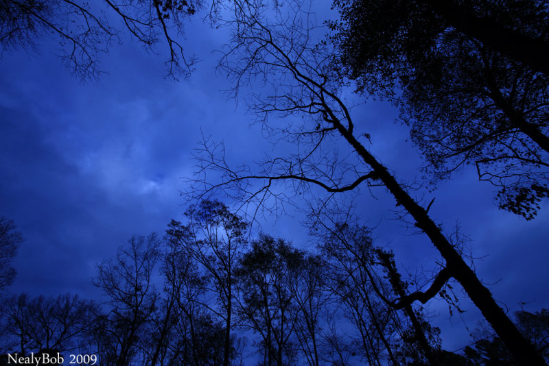 Blue Day December 23
