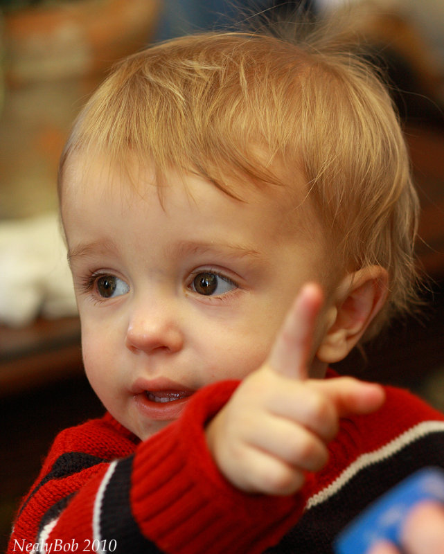 Pointing January 15