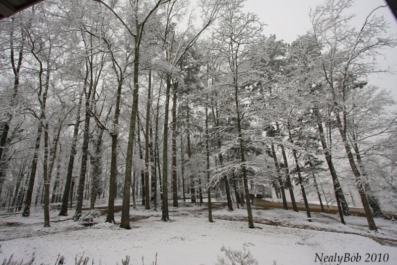 Its Snowing