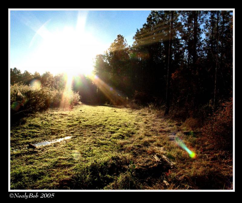 Early Light December 12
