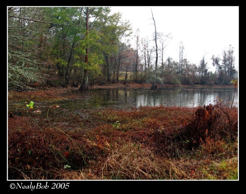 By The Lake December 17