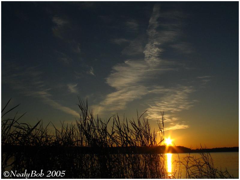 IMG_0844a.jpg