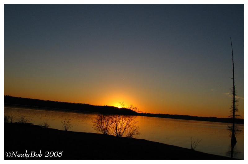 IMG_1200a.jpg