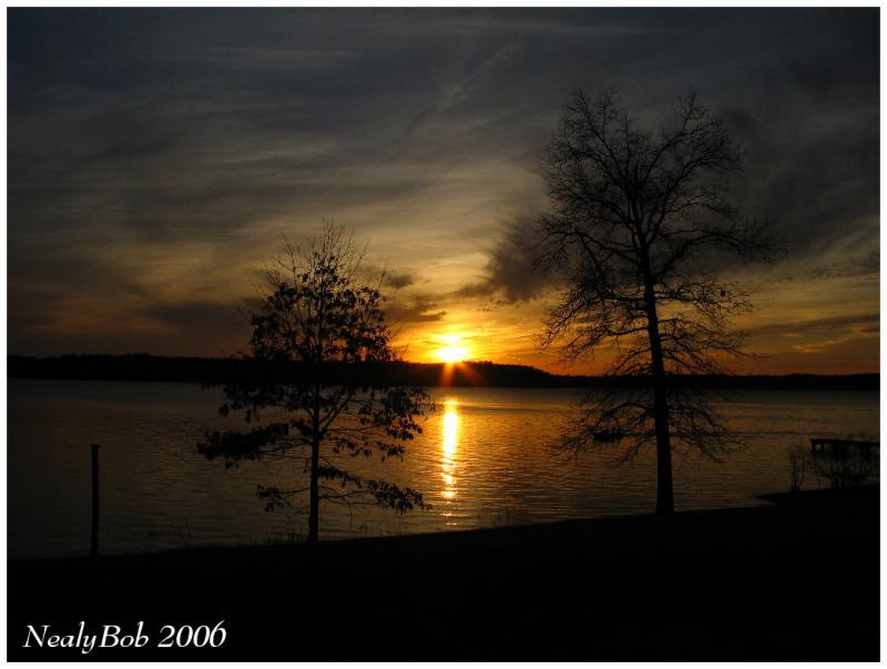 Another View January 23 *