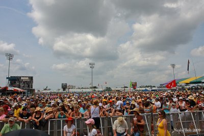 The Crowd