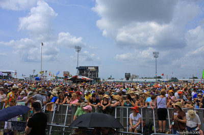 The Crowd