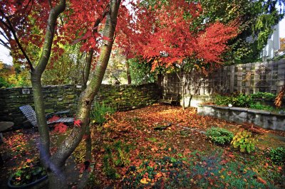 Otoño 2009