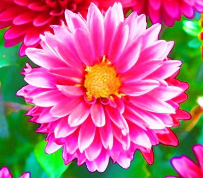 Watercolor--141.jpg
