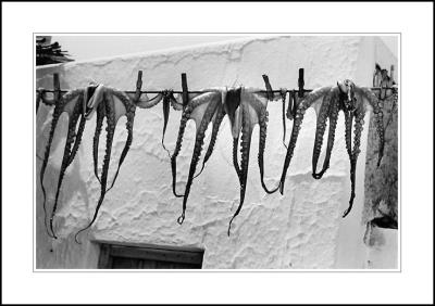 Calamari drying, Mykonos, 1982