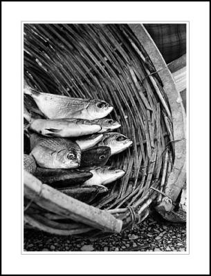Fish in basket, Mykonos, 1982