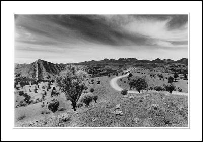 Flinder ranges track