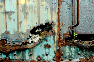 Life from Decay
