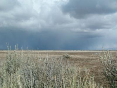 Bald Eagle is Black Dot in Upper Left of Frame