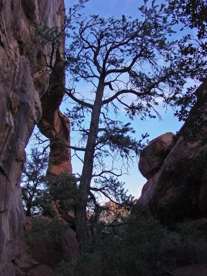 Wall Arch, Arches National Park, Utah