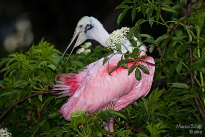 _MG_6968.jpg
