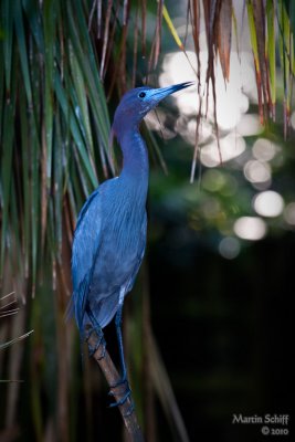 _MG_7002.jpg