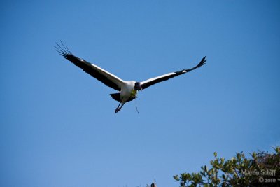 _MG_7092.jpg