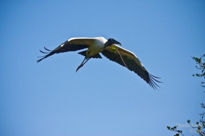 _MG_7093.jpg