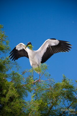 _MG_7106.jpg