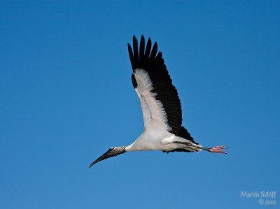 _MG_7260.jpg