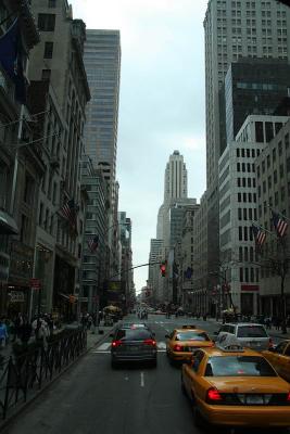 IMG_3704.jpg