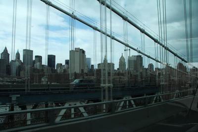 IMG_3731.jpg