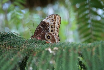 IMG_2448.jpg