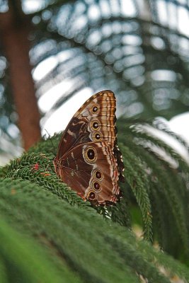 IMG_2449.jpg