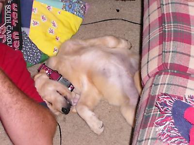 Sleep