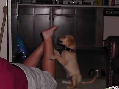 MacGyver Brutally Attacking Josh