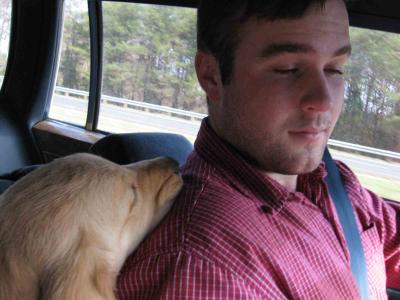 Sleeping on His Master