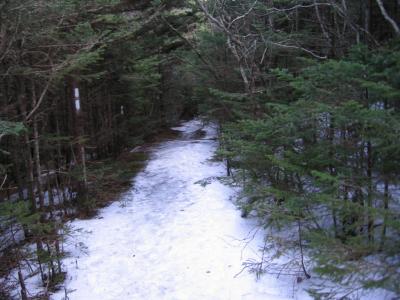 The Appalachian Trail