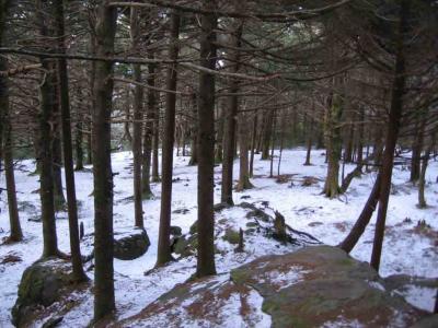 Roan High Knob - Highest Point on AT