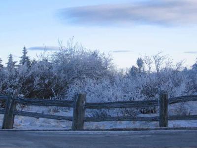 Freezing, Frosted fence (alliteration)