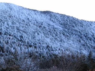Frozen Mountainside