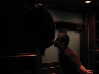 Man Kissing Buffalo