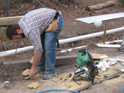 Picking up Wood