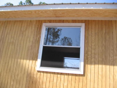 Window Bathed in Sunlight