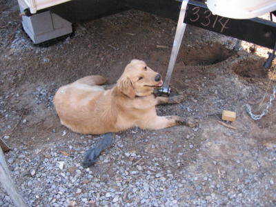 MacGyver Panting