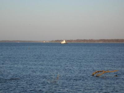 Lone Tug