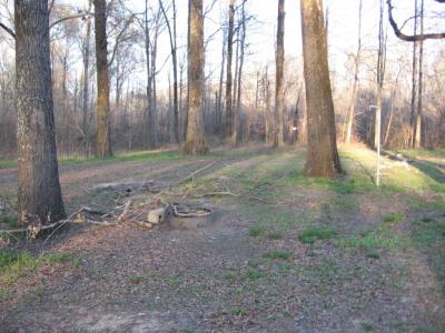 Our Campsite at Delta National Forest