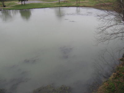 The Spring