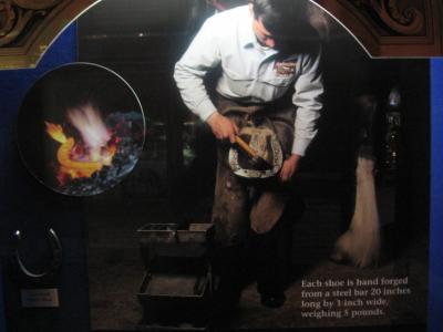 Shoeing