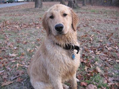 After Swimming in the River