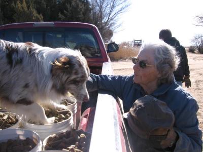 Chip The Amazing Herding Dog and Mrs. Grahn