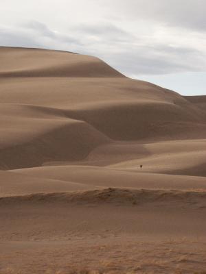 Dude on Dunes