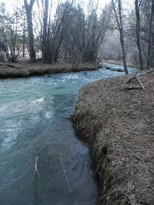 Stream Running Through Shoemaker's Property