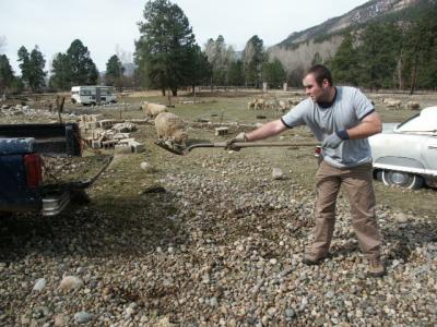 Shoveling Gravel into Truck Bed