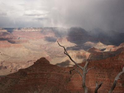 Storm Coming into the Canyon